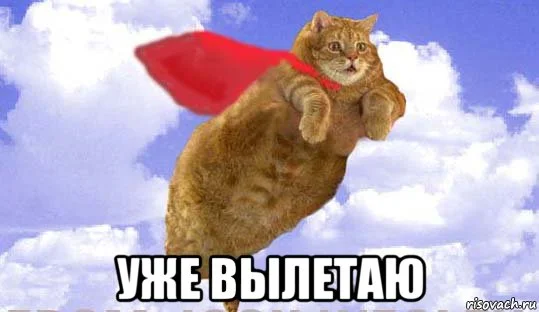 risovach.ru (1).webp
