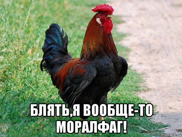 risovach.ru (1).webp