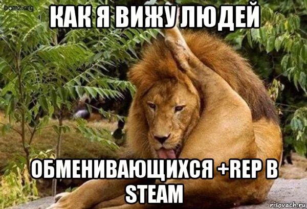 risovach.ru (2).webp