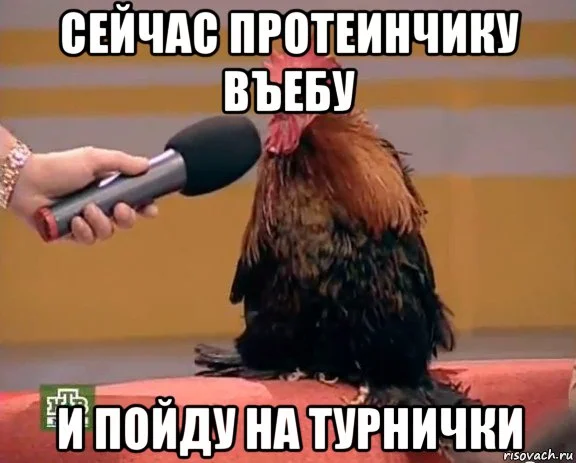 risovach.ru (2).webp