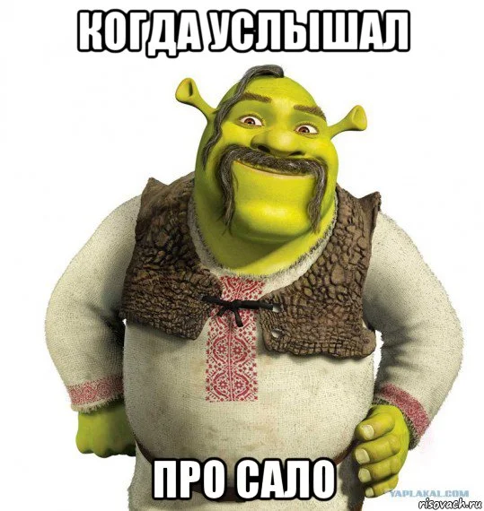 risovach.ru (4).webp