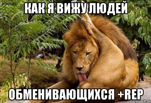 risovach.ru.webp