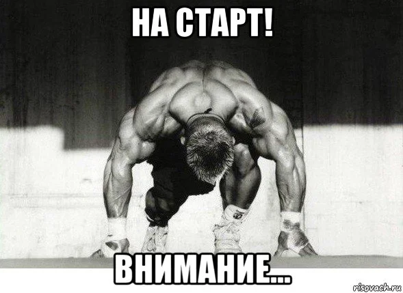 risovach.ru.webp