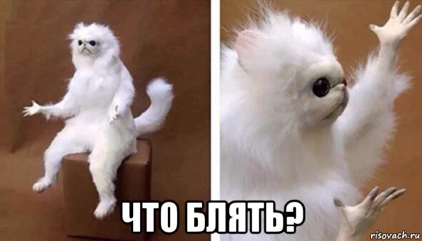 risovach.ru.webp
