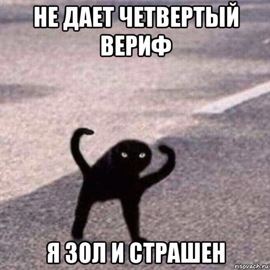 risovach.ru.webp