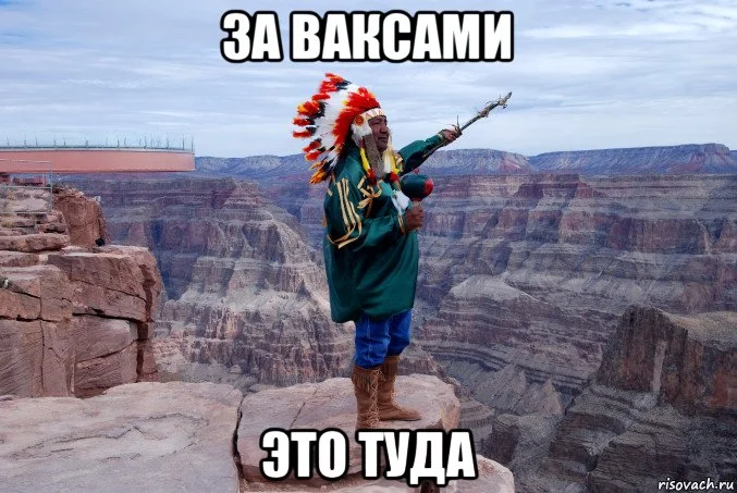 risovach.ru.webp
