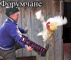 родгон.webp