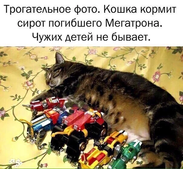 rpXINStaFWI.webp