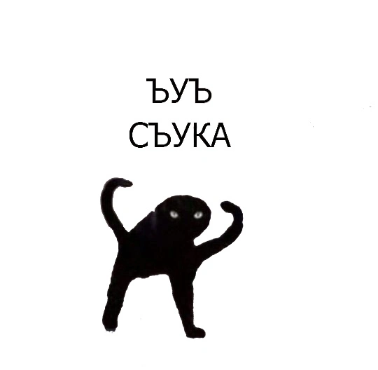 rQYTRvtBMmE.webp