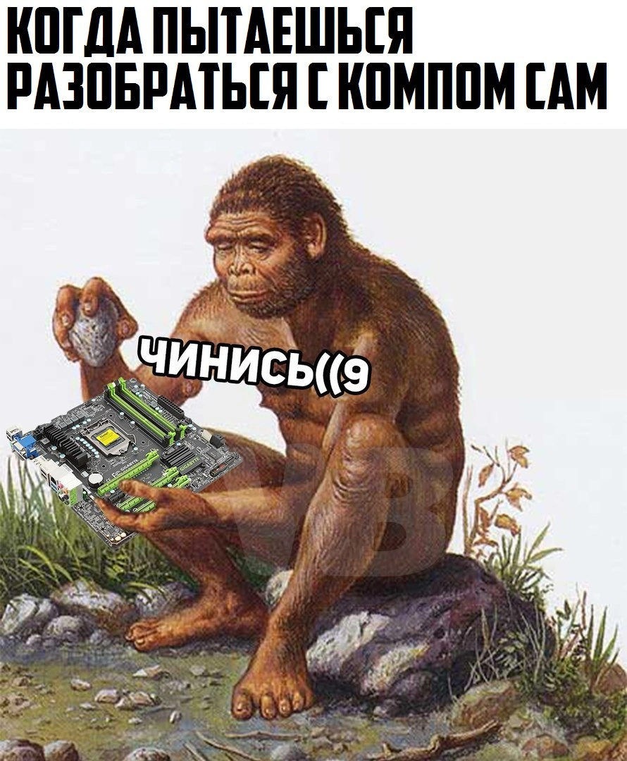 RZHKAs4tkhg.webp