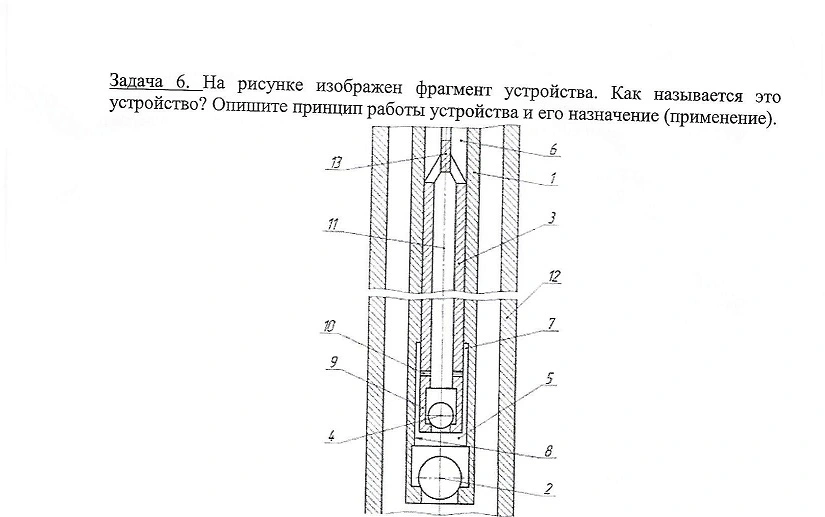 Scan.webp