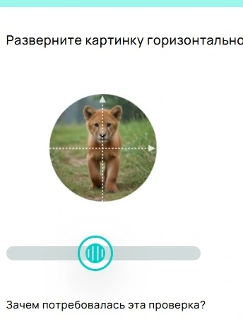 Screenshot 01.2026-3975.webp