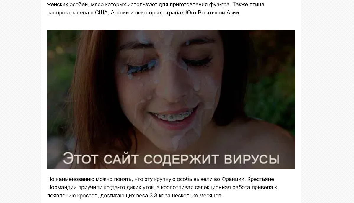 Screenshot (1).webp