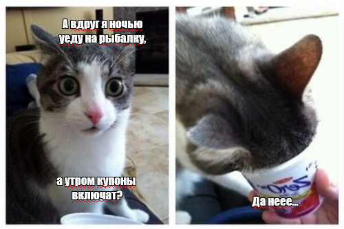 Screenshot 2021-06-12 at 02-50-38 Создать комикс мем смешные комиксы, комиксы мемы, да не бред...png