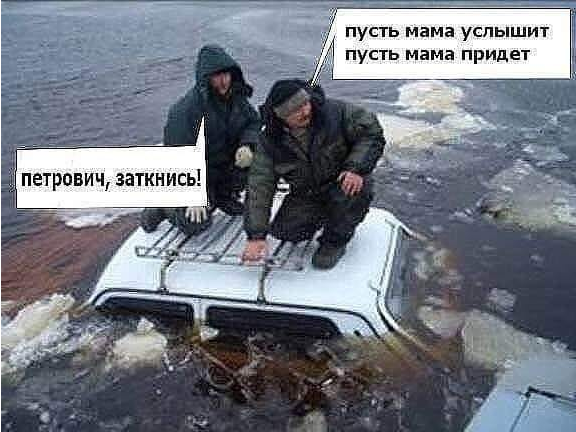 Screenshot 2021-06-22 at 03-28-02  Петрович, заткнись пусть мама услышит пусть мама придет ба...webp
