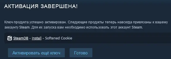 Screenshot 2023-11-04 at 23-35-49 Активация продукта в Steam.webp