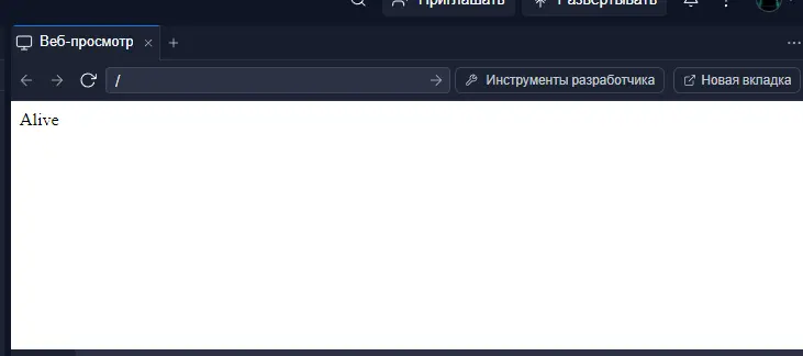 screenshot-replit.com-2024.02.21-02_34_18.webp