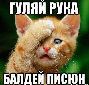 screenshot-risovach.ru-2022-04-14-15-39-55-084.webp