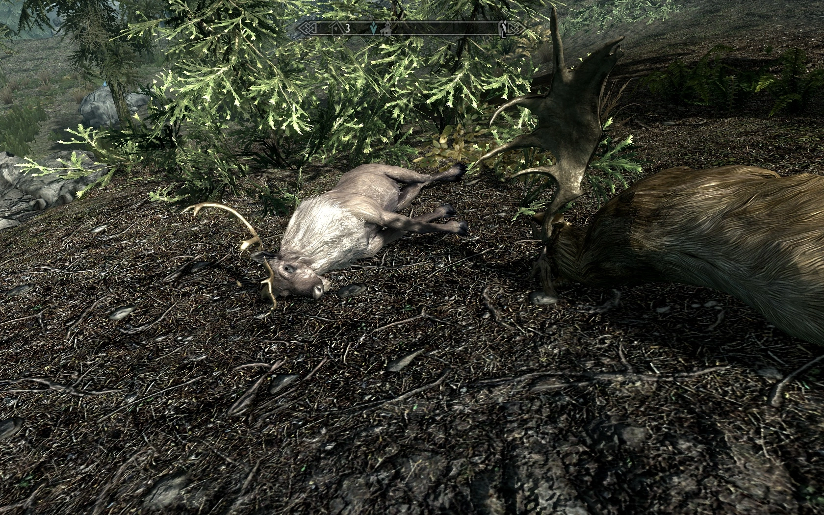 ScreenShot19.webp