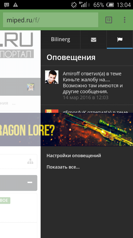 Screenshot_2016-03-14-13-04-21.webp