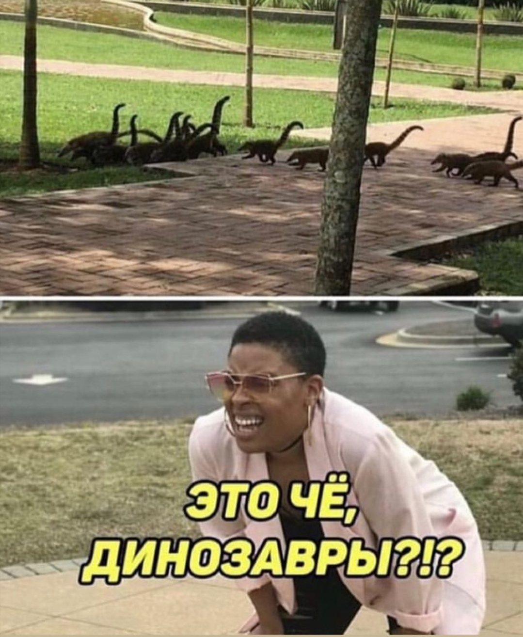 Screenshot_20190327-082321_Instagram.webp