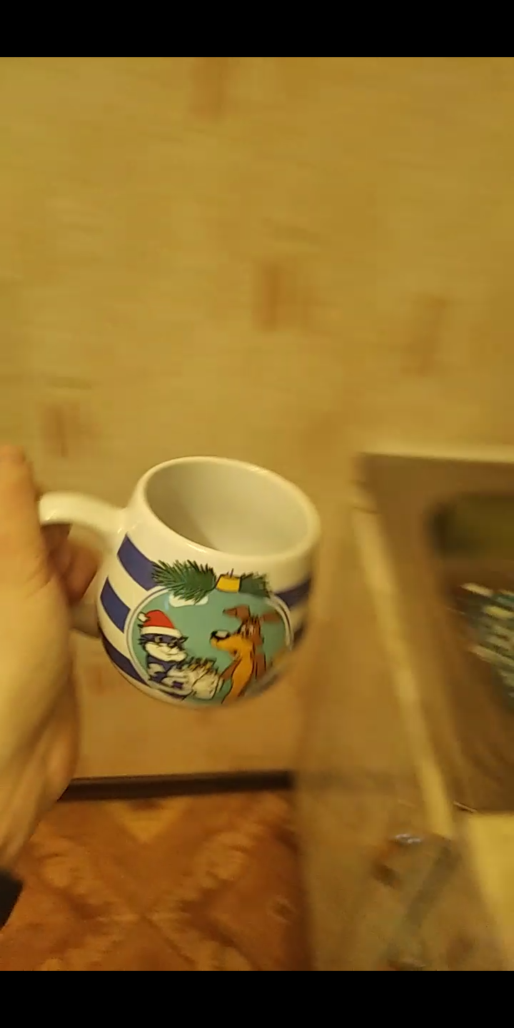 Screenshot_2020-12-21-14-34-13-741_com.miui.videoplayer.webp