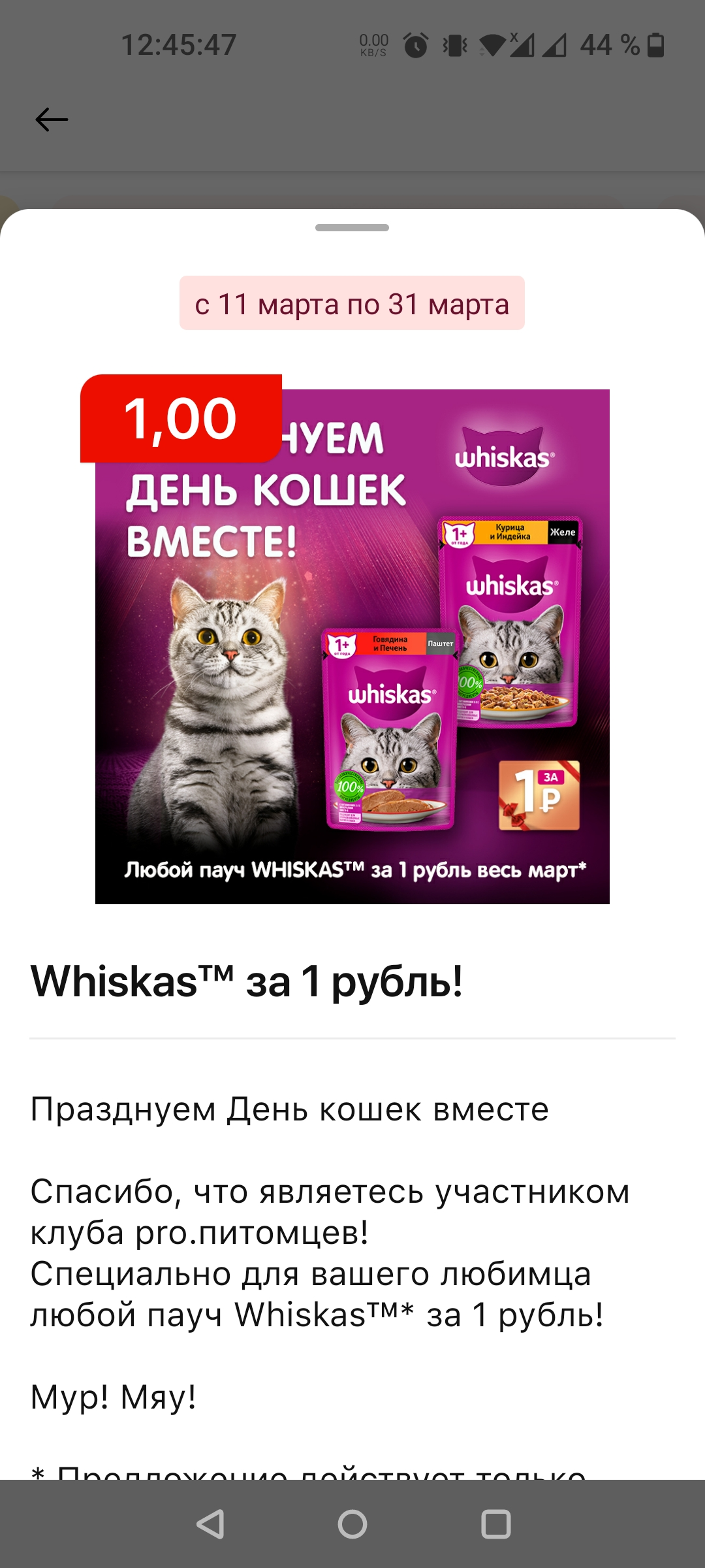 Screenshot_20220313-124548.webp