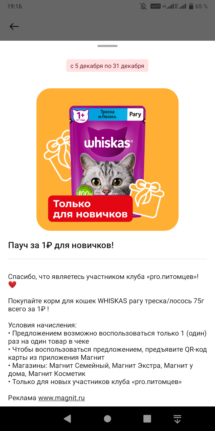Screenshot_20221208-191610.webp