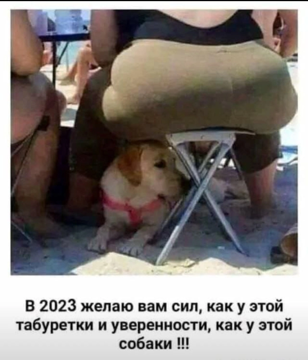 Screenshot_20221231_200112_com.whatsapp_edit_1580798230209827.webp