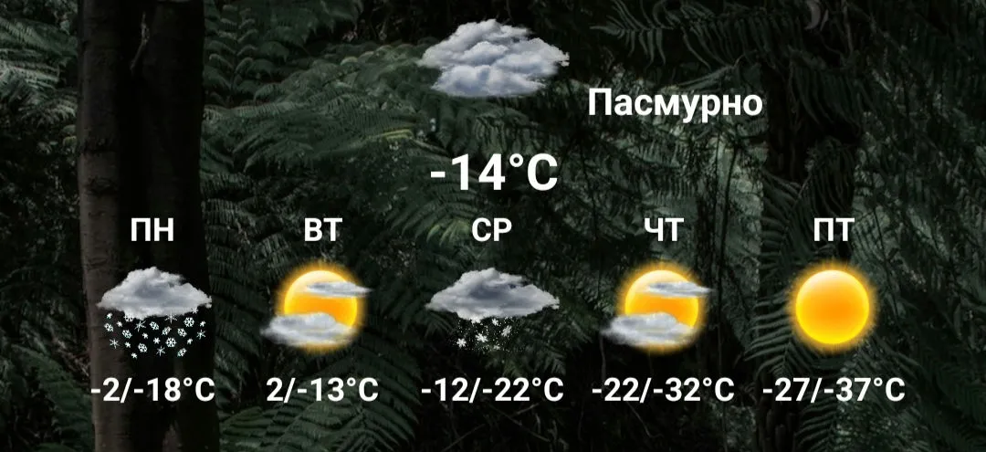 Screenshot_2023-12-04-11-52-32-30_b783bf344239542886fee7b48fa4b892_1.webp