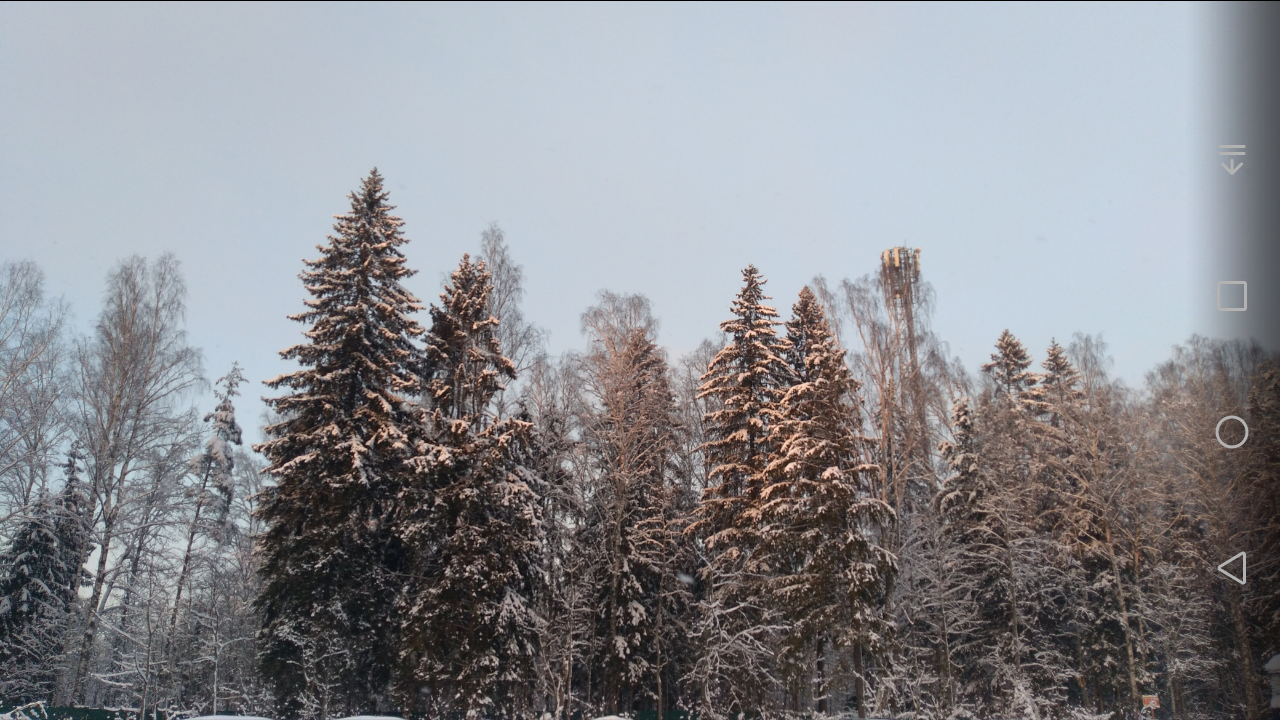 Screenshot_20231231-153418.webp