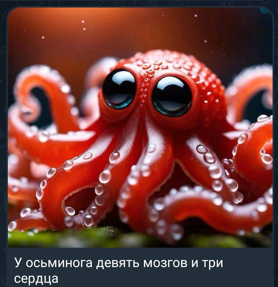 Screenshot_2024-02-09-10-53-54-004-edit_org.telegram.messenger.webp