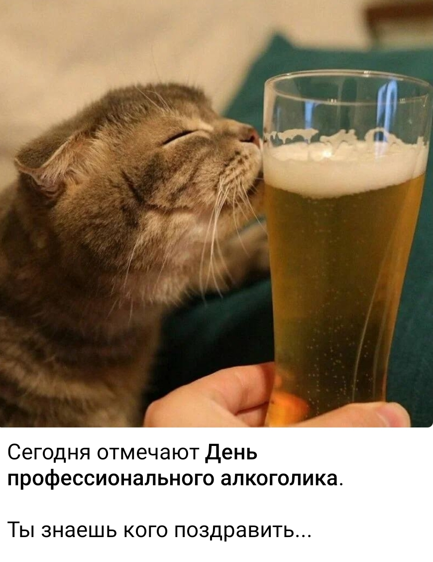 Screenshot_2024-02-20-09-27-53-514_org.telegram.messenger-edit.webp