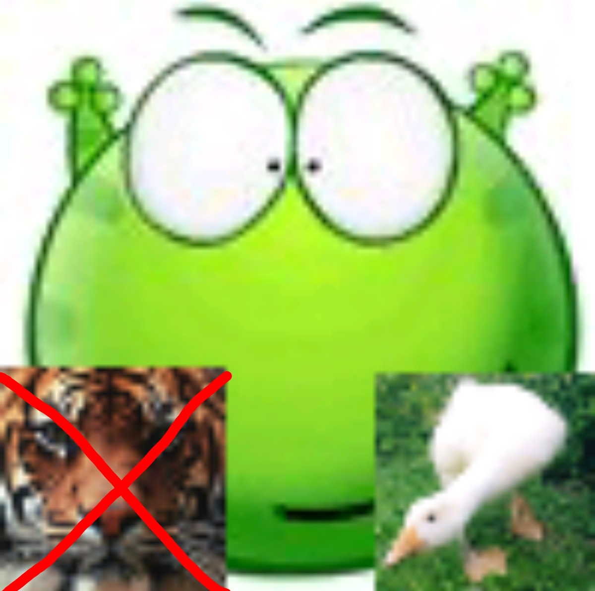 Screenshot_2024-06-21-00-20-00-344.webp