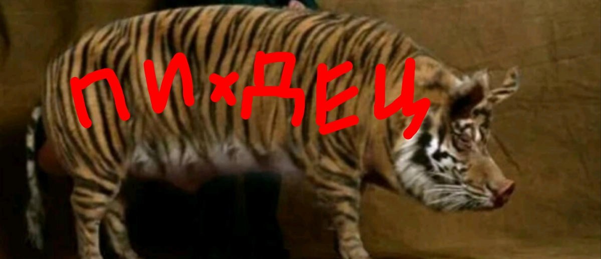 Screenshot_2024-06-24-19-23-29-890.webp