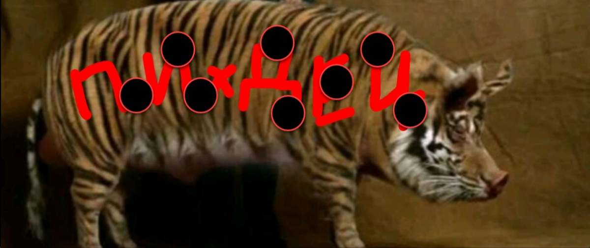 Screenshot_2024-06-25-14-02-49-095.webp