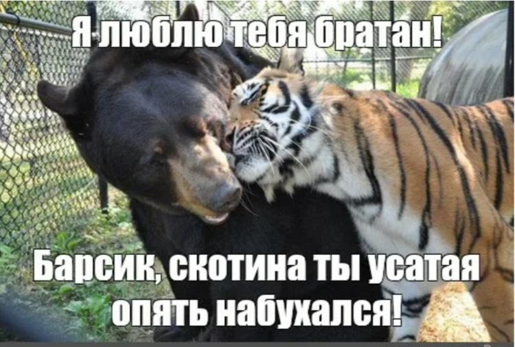 Screenshot_2024-07-01-20-41-15-828.webp
