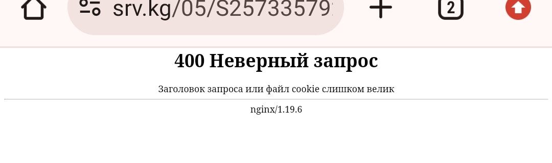Screenshot_2024-12-04-17-47-53-521-edit_com.android.chrome.webp