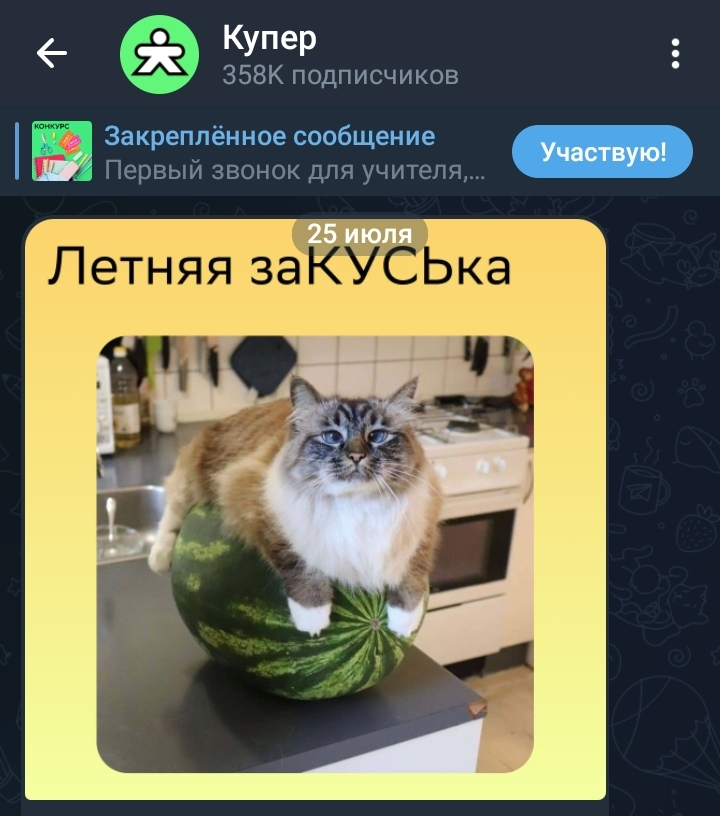 Screenshot_20240803_010357_Telegram.webp