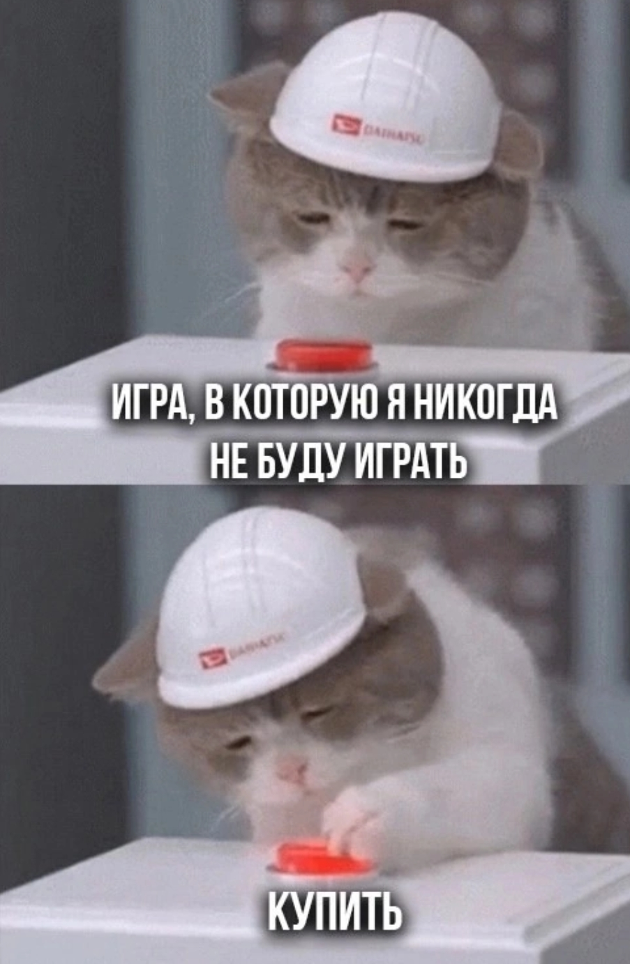 Screenshot_20241001-134821.webp