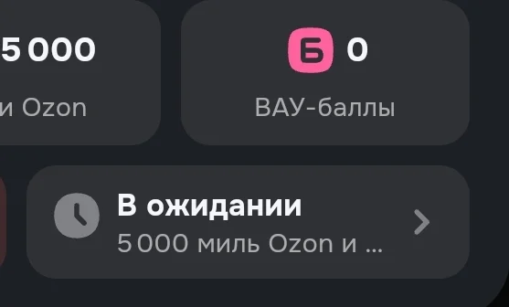 Screenshot_2025-06-25-20-25-14-948_ru.ozon.app.android-edit.webp