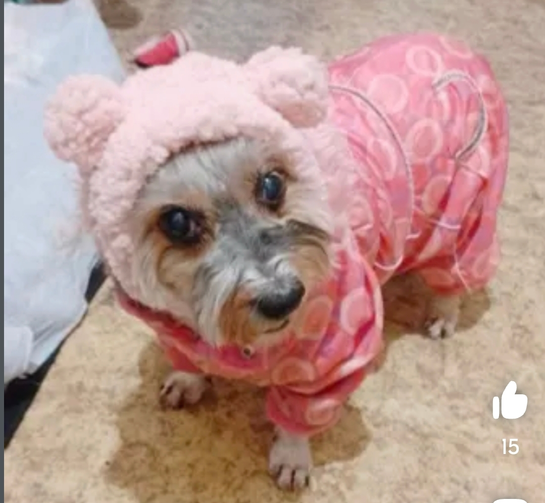 Screenshot_20250308_225510~(1).webp