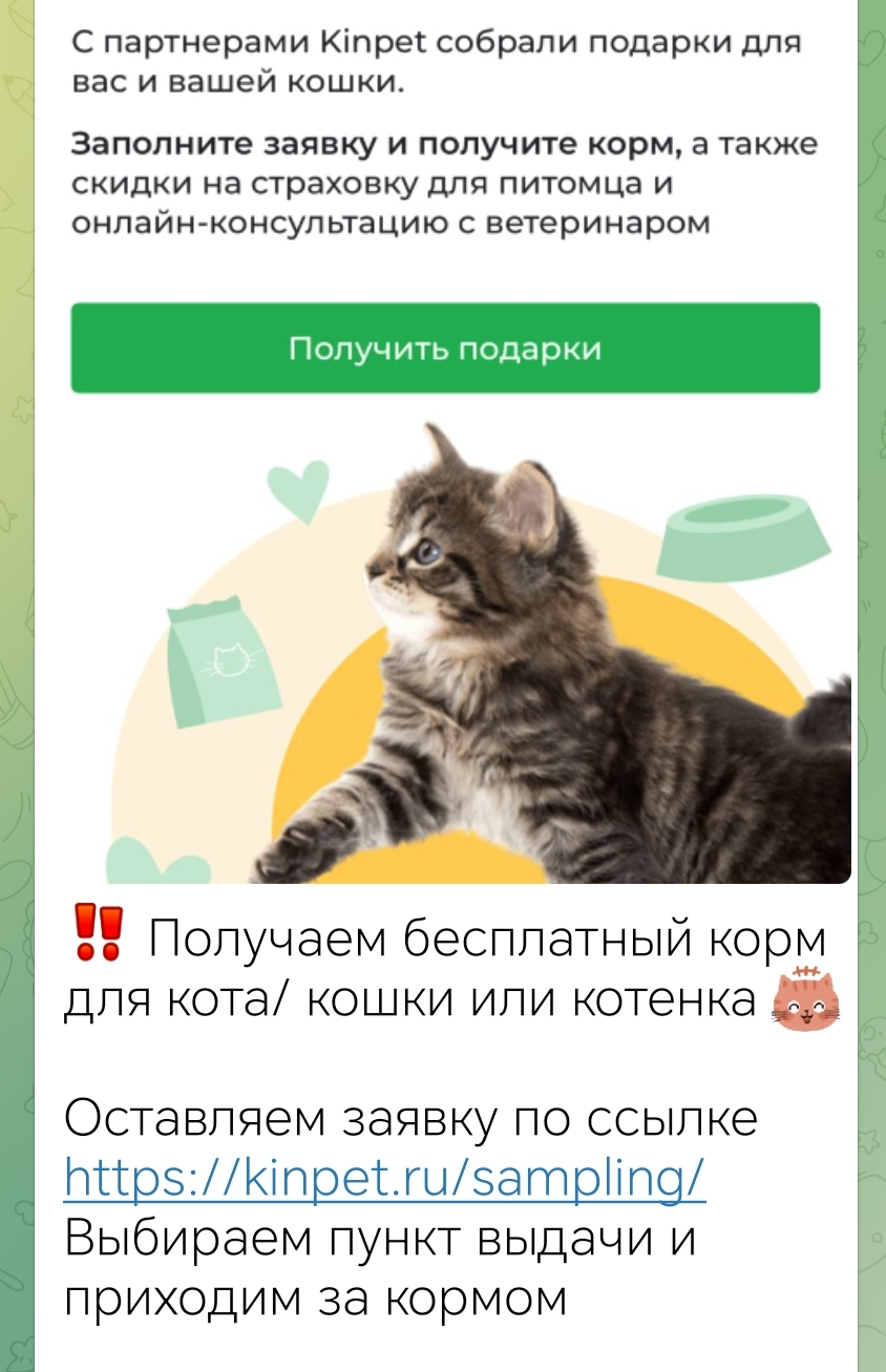 Screenshot_20251030_220636_org_telegram_messenger_LaunchActivity.webp