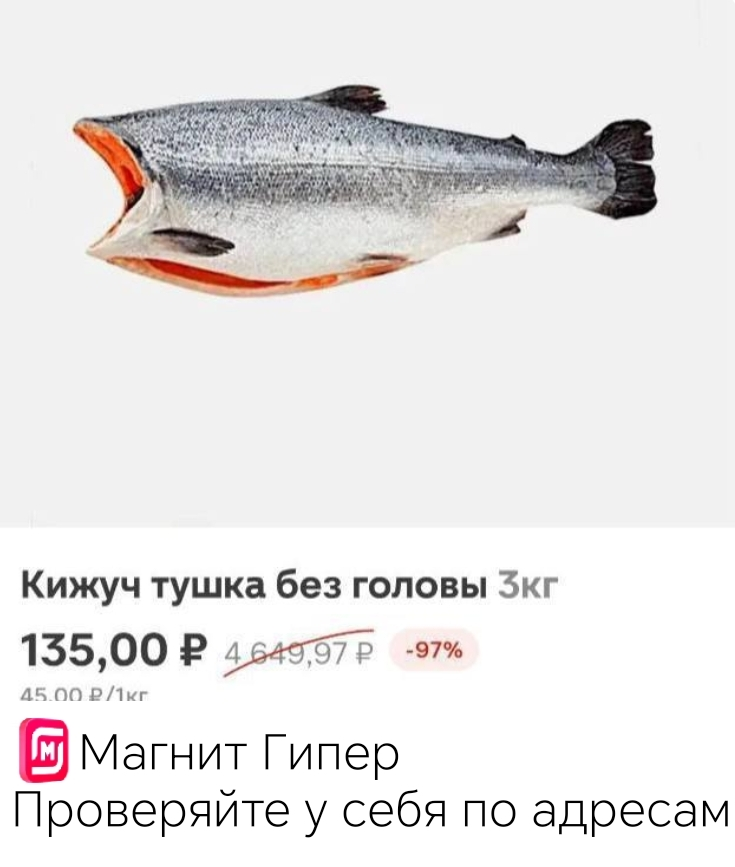 Screenshot_20251031_124738_org_telegram_messenger_LaunchActivity.webp