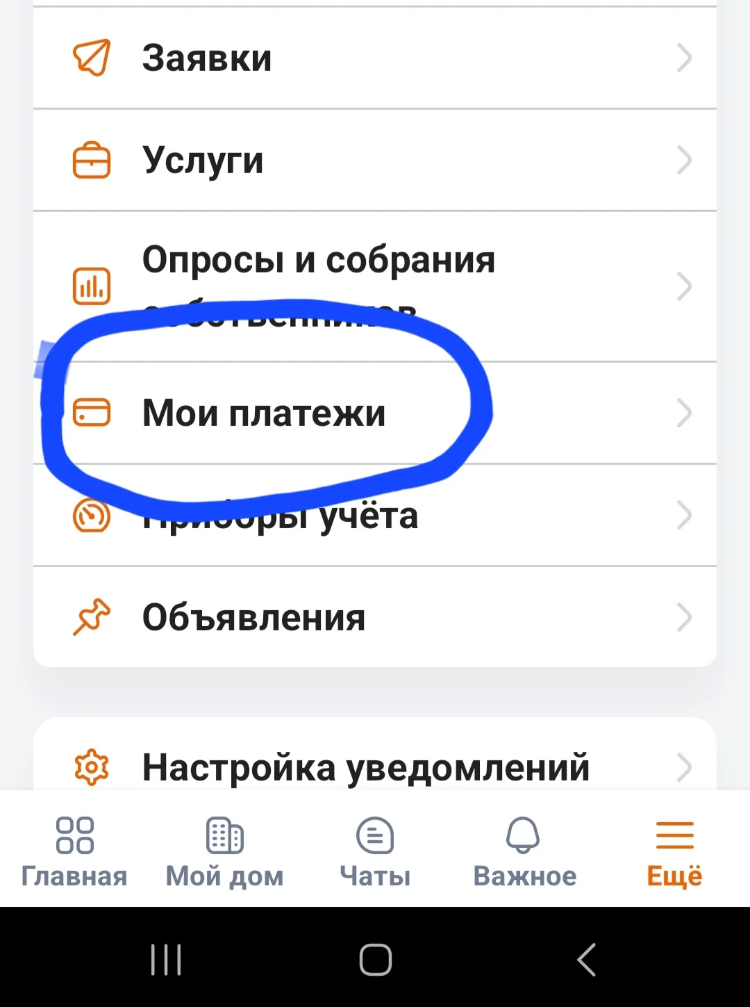 Screenshot_20251121_142640.webp