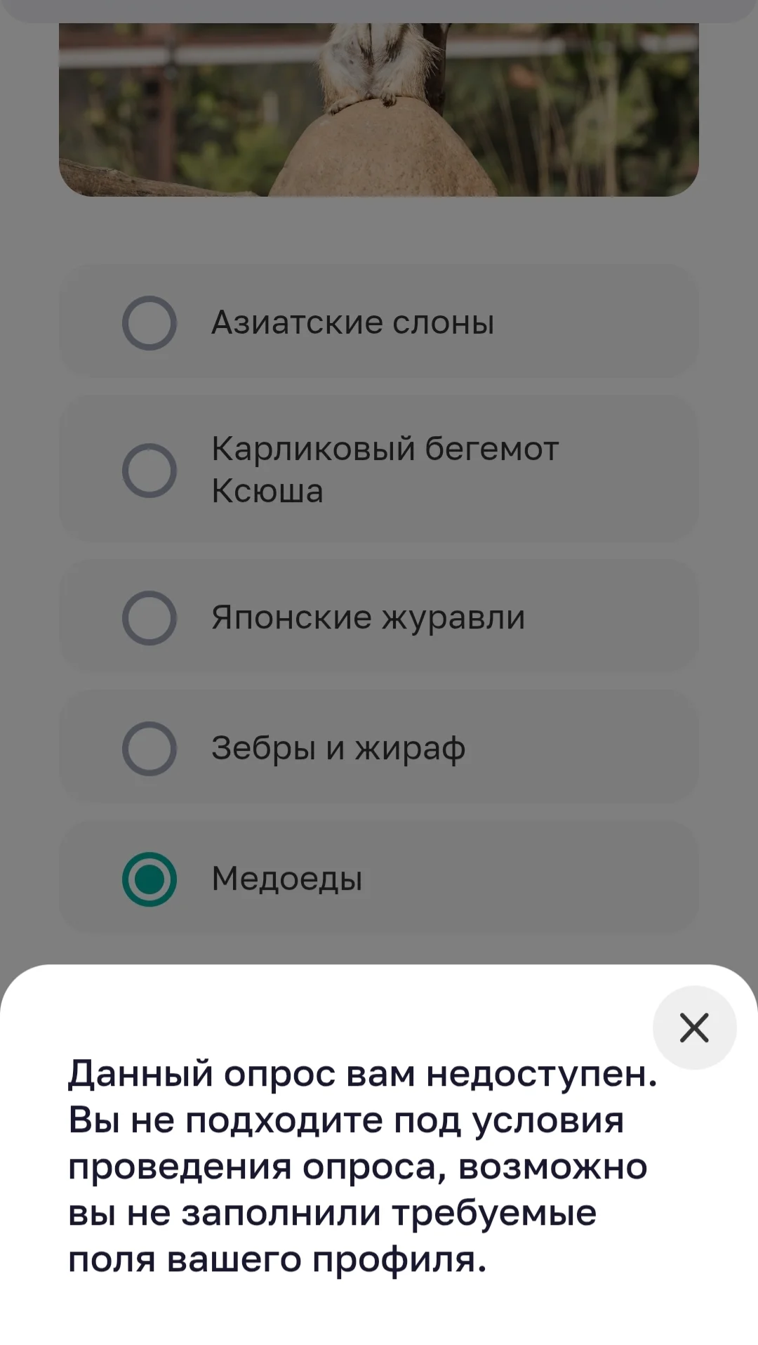 Screenshot_20251122_151151_Chrome.webp