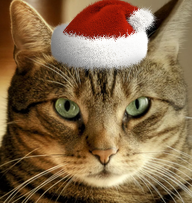 Sevmuren.webp