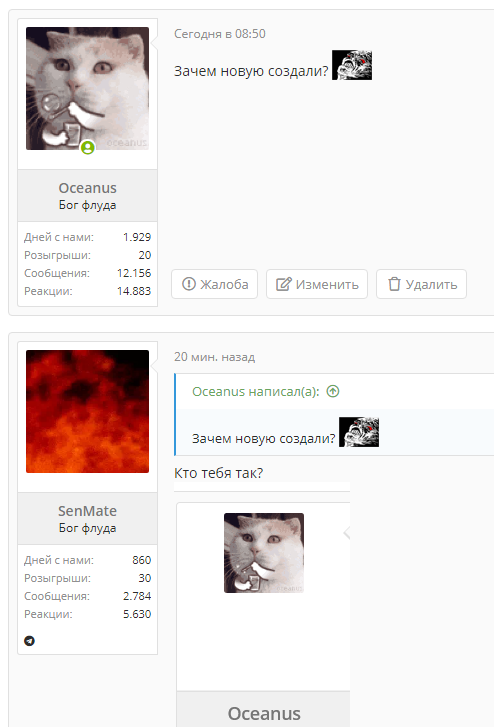 sggdg.webp