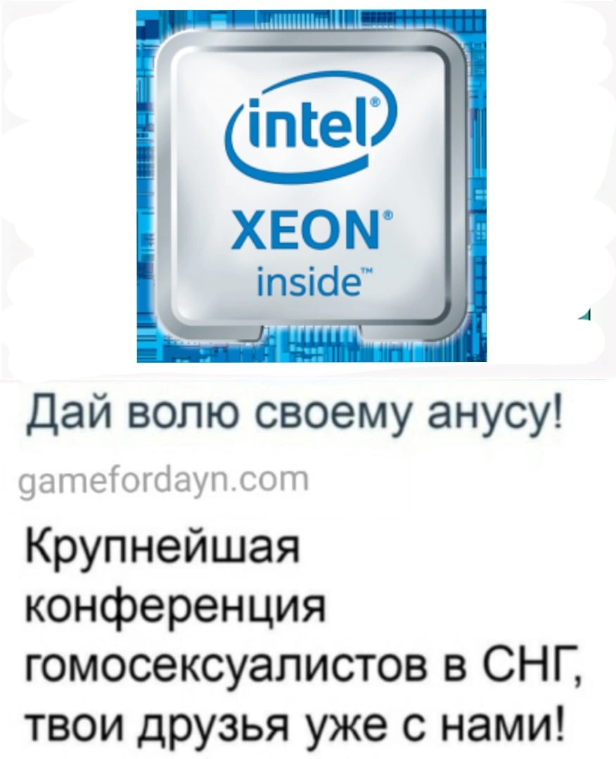 Sh_-2bT3FKY.webp