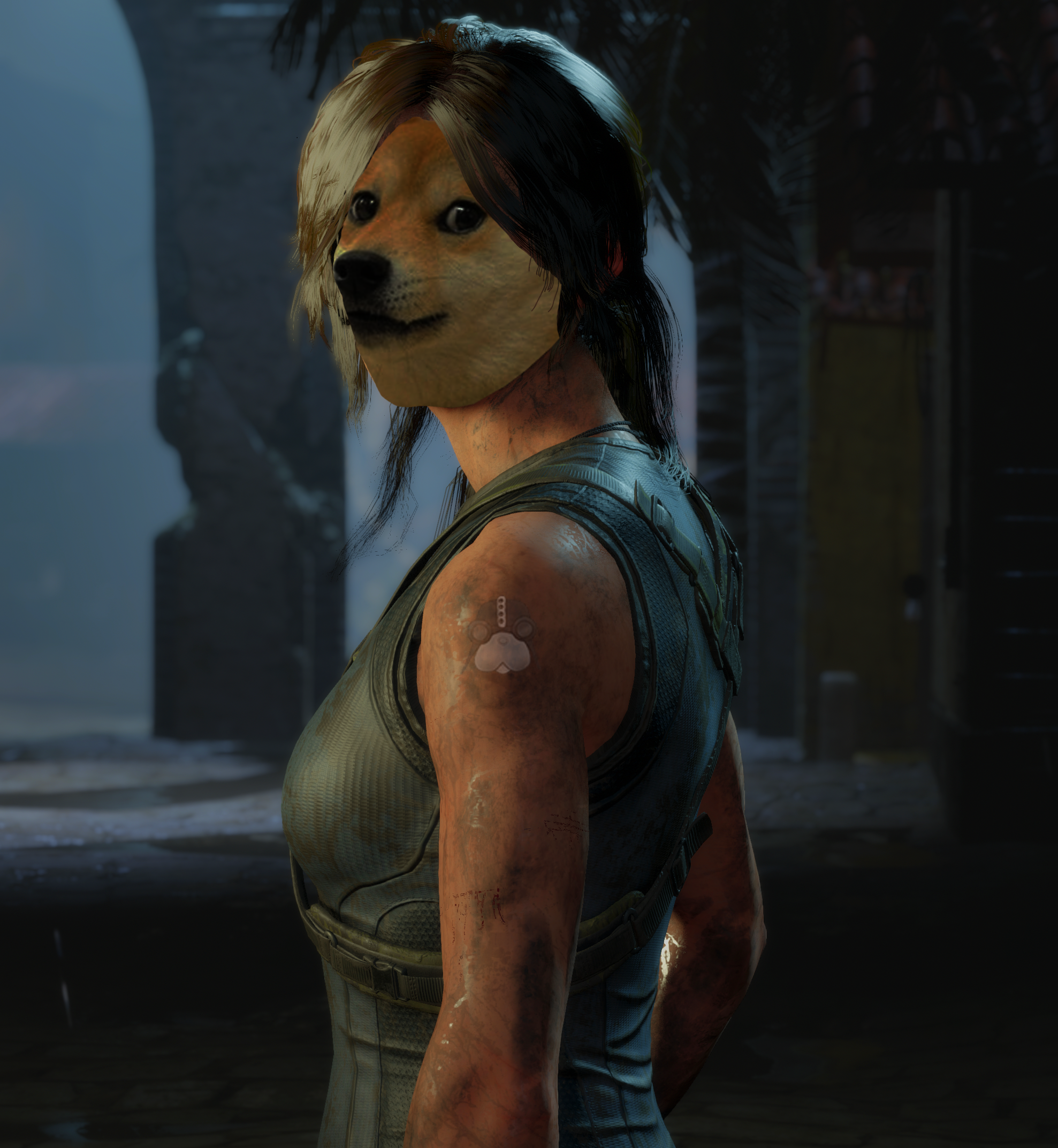 Shadows of Dogeeeeeee.webp